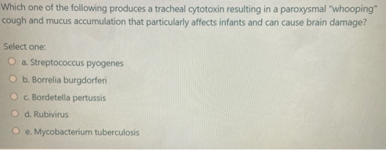 Which one of the following produces a tracheal cytotoxin resulting in a paroxysmal whooping cough and mucus accumulation th