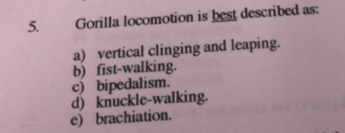Gorilla locomotion is best described as: a) vertical clinging and leaping. b) fist-walking c) bipedalism. d) knuckle-walking.