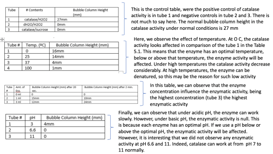 Tube # Contents Bubble Column Height (mm) 11 catalase/H202 dH20/H202 catalase/sucrose | 2 3 This is the control table, were t