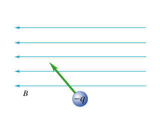 1013355C.jpg