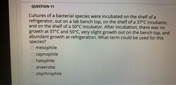 QUESTION 11 Cultures of a bacterial species were incubated on the shelf of a refrigerator, out on a lab bench top, on the she