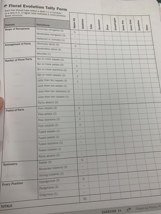 r Floral Evolution Tally Form Each box should have either a dash (), a numeral, ot a zero in it. A higher total indicates a m