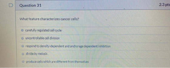 Question 31 2.3 pts What feature characterizes cancer cells? carefully regulated cell cycle uncontrollable cell division resp