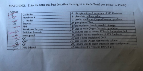 MATCHINGEnter the letter that best describes the reagent in the lefthand box below (12 Points) Answer G2 Buffer Proteinase K