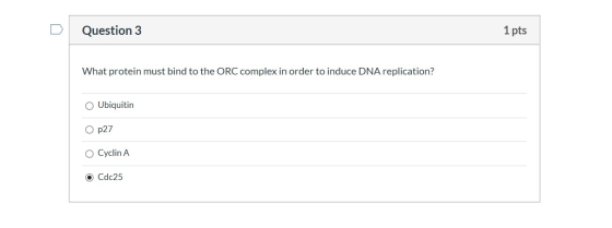 Question 3 1 pts What protein must bind to the ORC complex in order to induce DNA replication? Ubiquitin O p27 O Cyclin A Cdc