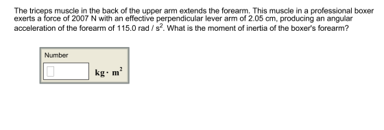 The triceps muscle in the back of the upper arm ex