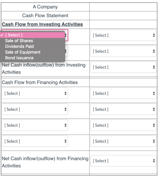 A Company Cash Flow Statement Cash Flow from Investing Activities [ Select] [Select] Sale of Shares Dividends Paid Sale of Eq