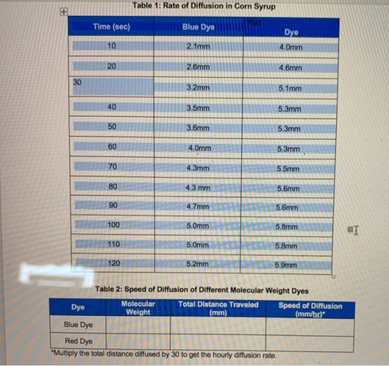 Table 1: Rate of Diffusion in Corn Syrup + Time (sec) Blue Dye Dye 4.0mm 10 2.1mm 20 2.6mm 4.6mm 30 3.2mm 5.1mm 40 3.5mm 5.3m