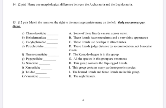 14. (2 pts) Name one morphological difference between the Archosauria and the Lepidosauria. 15. (12 pts) Match the terms on t