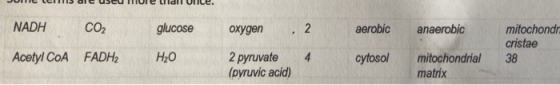 V I GIC CU VIE LIIGE UILE. glucose oxygen 2 aerobic anaerobic NADH COZ Acetyl CoA FADH2 mitochondr cristae H2O 2 pyruvate (py