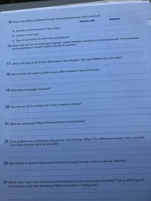 Gametes 15 What is the difference between somatic cells and gametes (sex cells) in terms of Somatic cells a Number of chromos