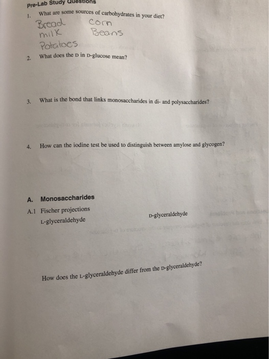 Pre-Lab Study Questions What are some sources of carbohydrates in your diet? Bread Com milk Beans Potatoes What does the D in
