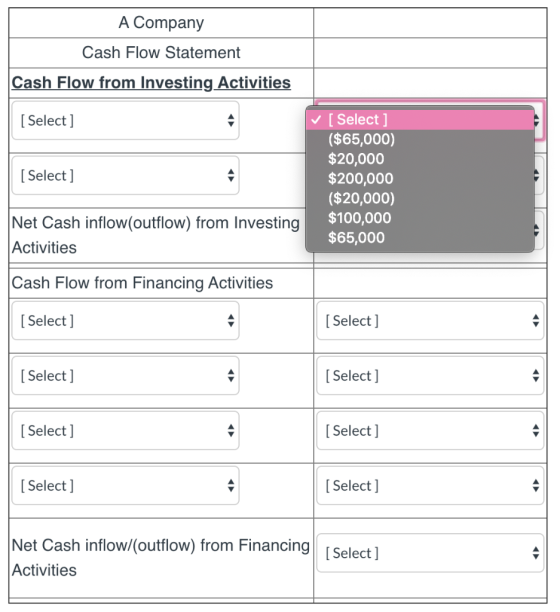 A Company Cash Flow Statement Cash Flow from Investing Activities Select ] ($65,000) $20,000 $200,000 ($20,000) $100,000 $65,