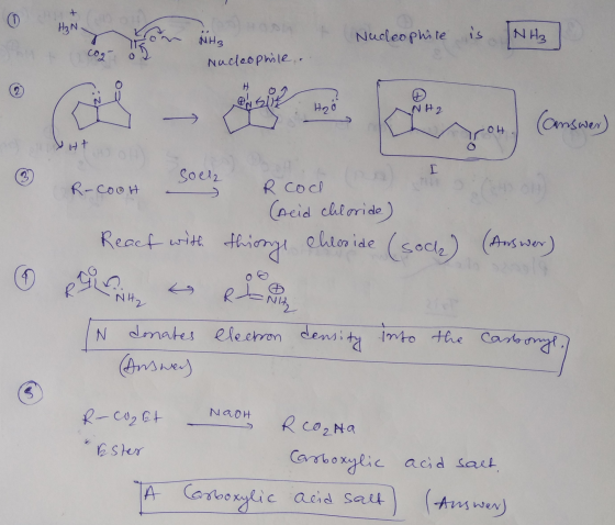 H₂N - Nudeophiste NH3 NH3 Nucleophile, .. NH2 -04 Ht Soel2 -Coolt . React with (neid chloride) things chloride (soch) (Answer
