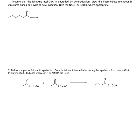 1. Assume that the following acyl-CoA is degraded by beta-oxidation, draw the intermediate (compound) structures during one c