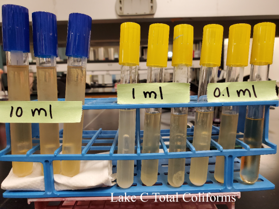 • 9820 Iml 0.1 ml 10ml Lake Total Coliforms