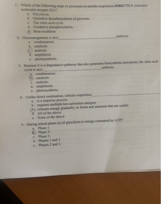 1. Which of the following steps or processes in aerobic respiration DIRECTLY consume molecular oxygen (O2)? a. Glycolysis. b.