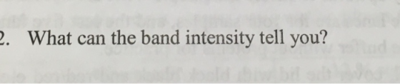 What can the band intensity tell you?