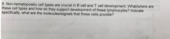 8. Non-hematopoietic cell types are crucial in B cell and T cell development. What/where are these cell types and how do they
