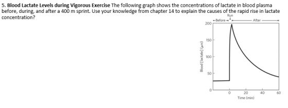 5. Blood Lactate Levels during Vigorous Exercise The following graph shows the concentrations of lactate in blood plasma befo