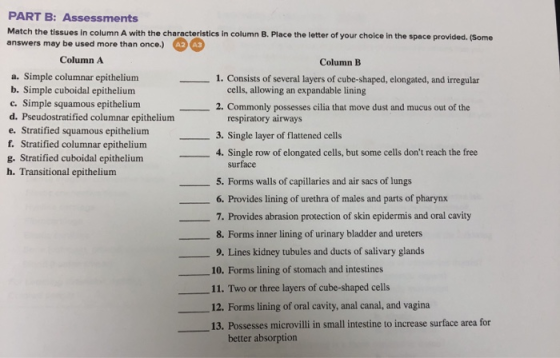 PART B: Assessments Match the tissues in column A with the characteristics in column B. Place the letter of your choice in th