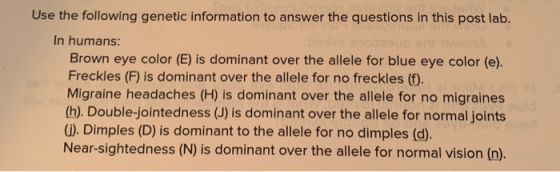 Use the following genetic information to answer the questions in this post lab. In humans: Brown eye color (E) is dominant ov