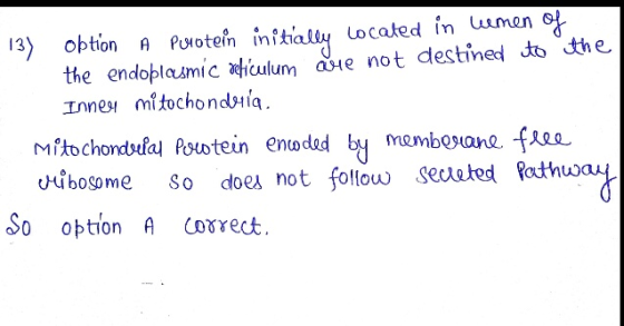 13) obtion A purotein initially located in hemen of the endoplasmic reticulum are not destined to the Innen mitochondria, mit