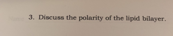 3. Discuss the polarity of the lipid bilayer.