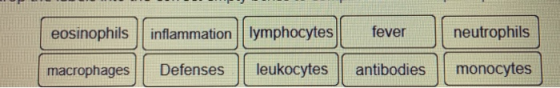 eosinophils inflammation lymphocytes fever neutrophils cosinophisintamaton ymphocytes tever nestopthis macrophages Defenses l