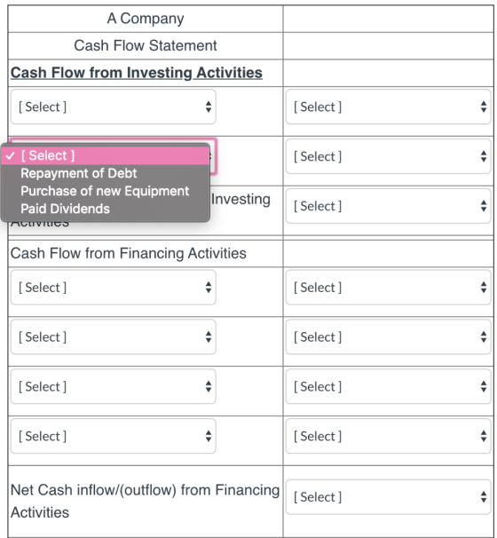 A Company Cash Flow Statement Cash Flow from Investing Activities [Select] [Select] [Select] [Select] Repayment of Debt Purch