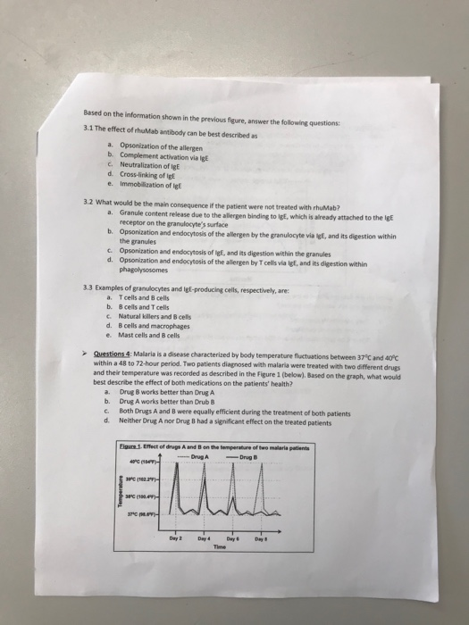 Based on the information shown in the previous figure, answer the following questions: 3.1 The effect of rhum ab antibody can