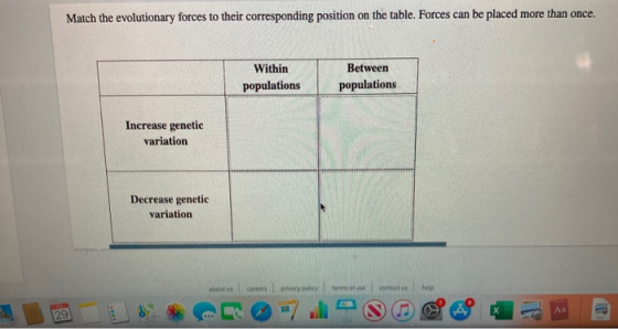 Match the evolutionary forces to their corresponding position on the table. Forces can be placed more than once. Within popul