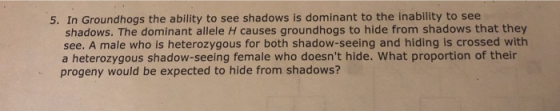 5. In Groundhogs the ability to see shadows is dominant to the inability to see shadows. The dominant allele H causes groundh
