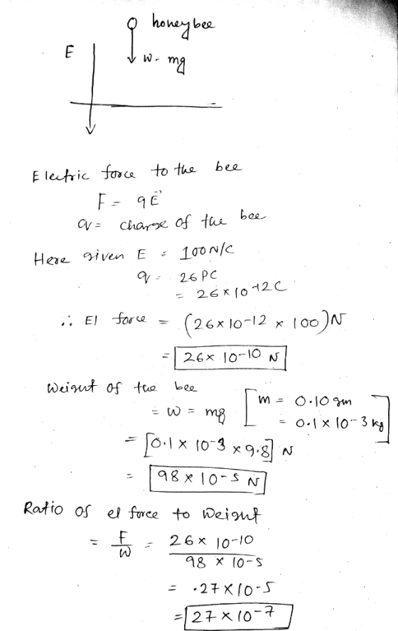 bee bee E letic foca to the Ratio 0{ el free to wei 26x 10-10