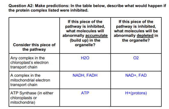 Question A2: Make predictions: In the table below, describe what would happen if the protein complex listed were inhibited. I
