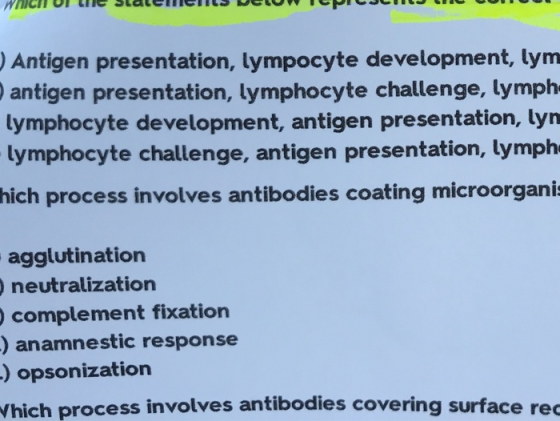 ) Antigen presentation, lympocyte development, lym antigen presentation, lymphocyte challenge, lymph lymphocyte development,