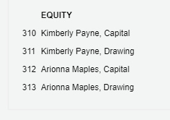 EQUITY 310 Kimberly Payne, Capital 311 Kimberly Payne, Drawing 312 Arionna Maples, Capital 313 Arionna Maples, Drawing