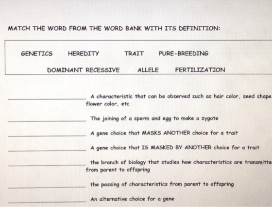 MATCH THE WORD FROM THE WORD BANK WITH ITS DEFINITION: GENETICS HEREDITY TRAITPURE-BREEDING DOMINANT RECESSIVE ALLELE FERTILIZATION A characteristic that can be observed such as hair color, seed shape flower color, etc The joining of a sperm and egg to make a zygote A gene choice that MASKS ANOTHER choice for a trait A gene choice that IS MASKED BY ANOTHER choice for a trait the branch of biology that studies how characteristics are transmitte from parent to offspring the passing of characteristics from parent to offspring An alternative choice for a gene