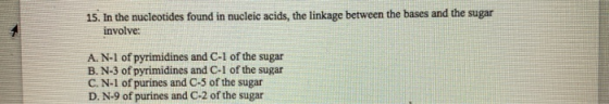15. In the nucleotides found in nucleic acids, the linkage between the bases and the sugar involve: A. N-1 of pyrimidines and
