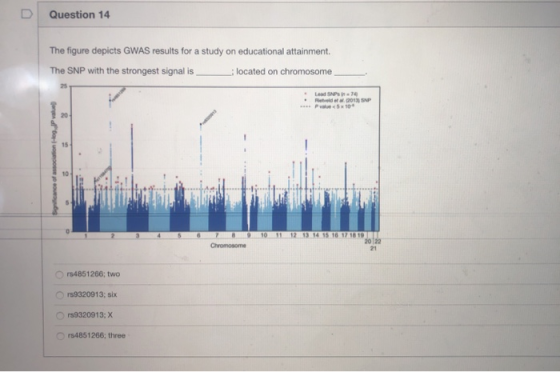 Question 14 The figure depicts GWAS results for a study on educational attainment. The SNP with the strongest signal is ; loc