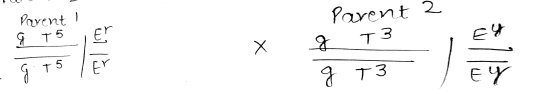 Parent Parent 2 Я T5 E 3 T X g 11 g T 5 En g T3 EY
