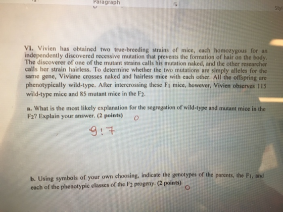 Paragraph Styl VI. Vivien has obtained two true-breeding strains of mice, each homozygous for an independently discovered rec