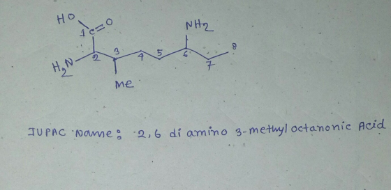 HO NH 1-o me IUPAC Name: 2,6 di amino 3-methyloctanonic Acid