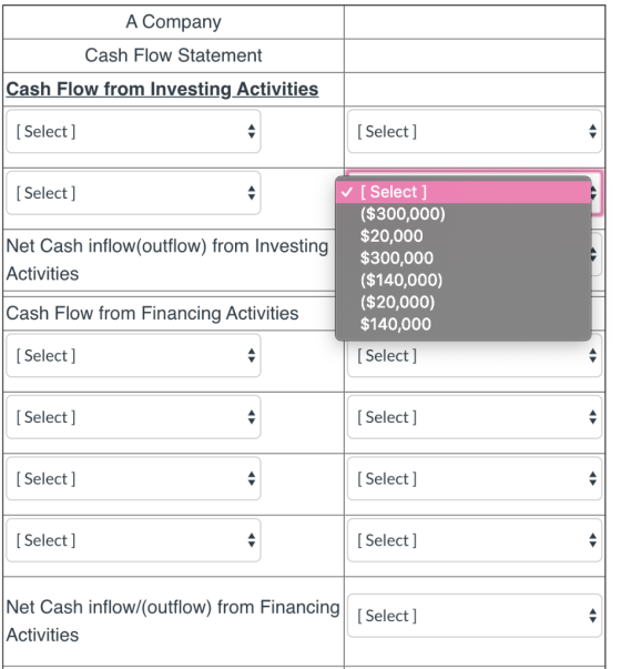 A Company Cash Flow Statement Cash Flow from Investing Activities [Select] [ Select] [ Select] Net Cash inflow(outflow) from