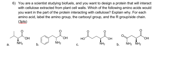 6) You are a scientist studying biofuels, and you want to design a protein that will interact with cellulose extracted from p