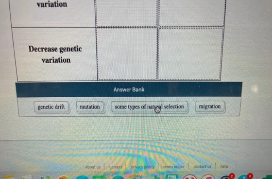 variation Decrease genetic variation Answer Bank genetic drift mutation some types of natyal selection migration about us Car