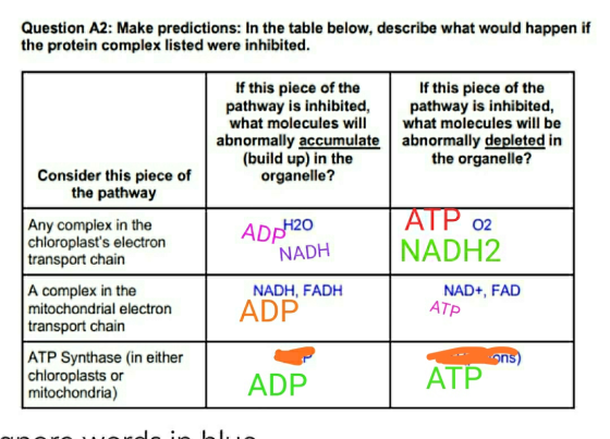 Question A2: Make predictions: In the table below, describe what would happen if the protein complex listed were inhibited. I