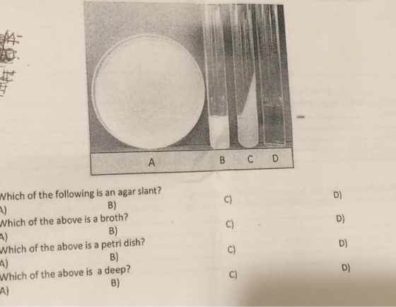 Which of the following is an agar slant? Which of the above is a broth? Which of the above is a petri dish? Which of the abov