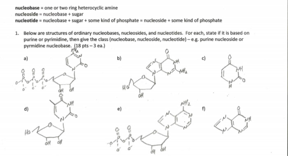 nucleobase = one or two ring heterocyclic amine nucleoside = nucleobase + sugar nucleotide = nucleobase + sugar + some kind o