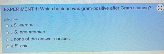 EXPERIMENT 1: Which bacteria was gram-positive after Gram staining? Select one: O a. S. aureus O b. S. pneumoniae o cnone of